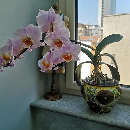 Apartment Centrale-luxury With Garden Terrace *