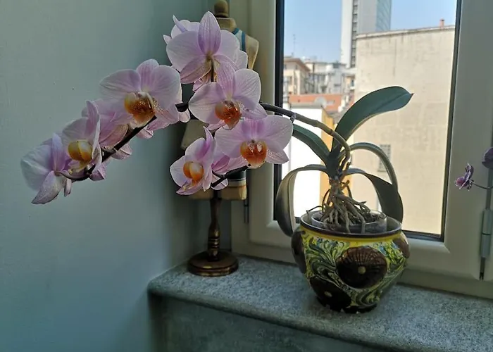 Apartmán Centrale-luxury With Garden Terrace *