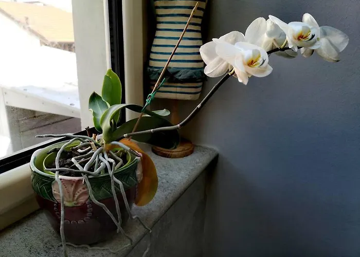 Apartmán Centrale-luxury With Garden Terrace *